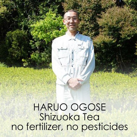 Haruo Ogose - yumenet.live