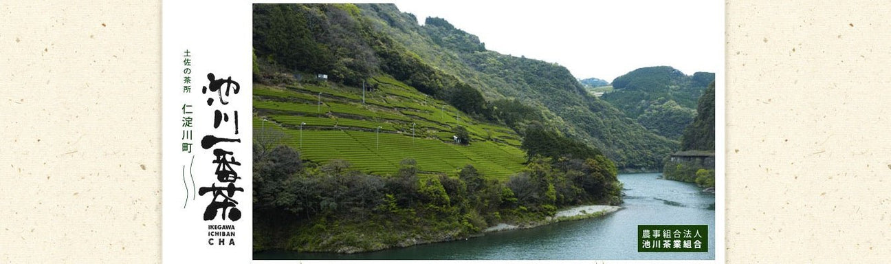 Ikegawa Tea Farm Coop - yumenet.live