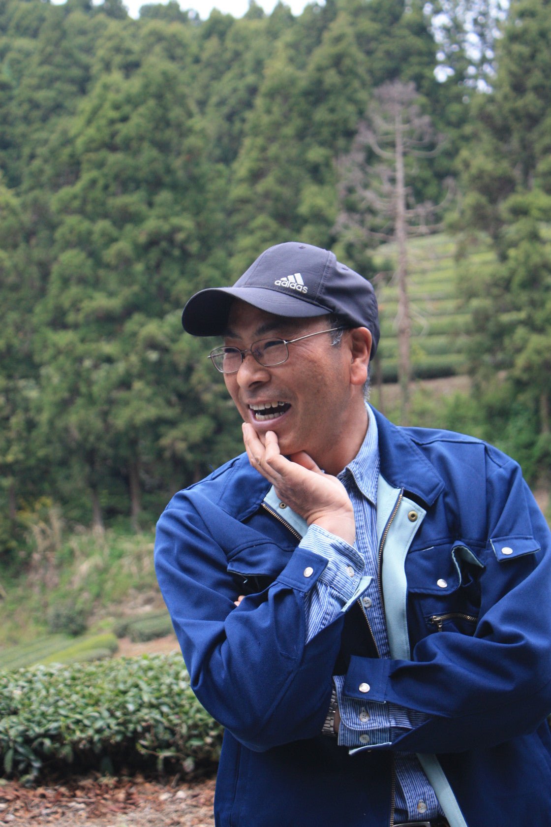 Kashima Tea Garden - yumenet.live