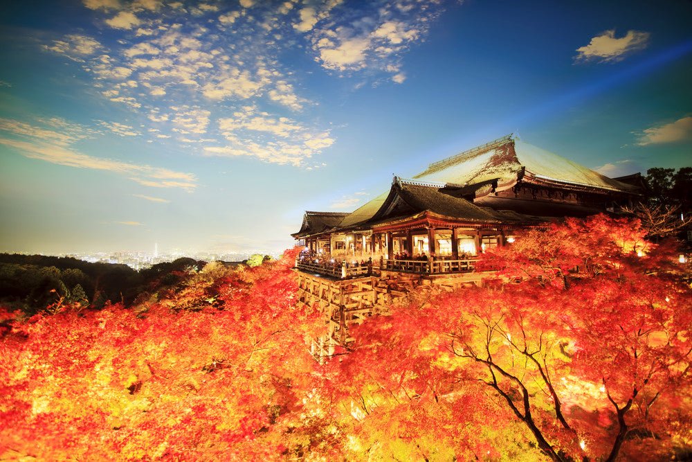 Kyoto - yumenet.live