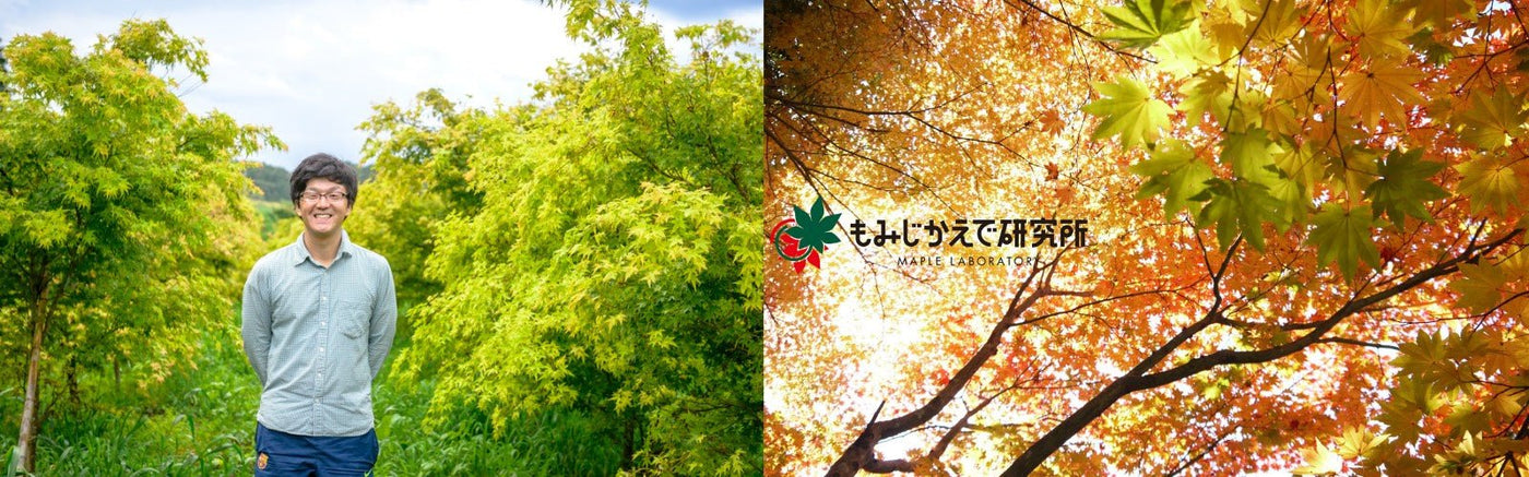 Maple Laboratory - yumenet.live