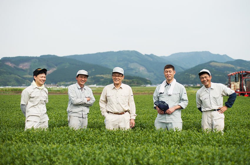 Miyazaki Kamimizu Tea Farm - yumenet.live