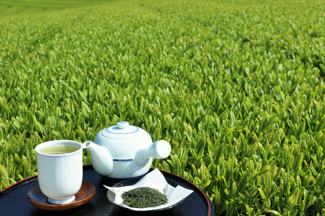 Oyaizu Tea Factory