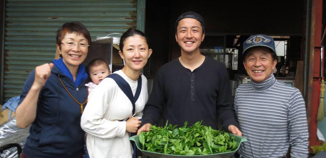 Tomizawa Tea Garden
