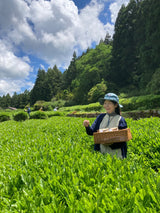 #0894.A1 燕から茶畑へ 愛知県岡崎市額田村産直煎茶