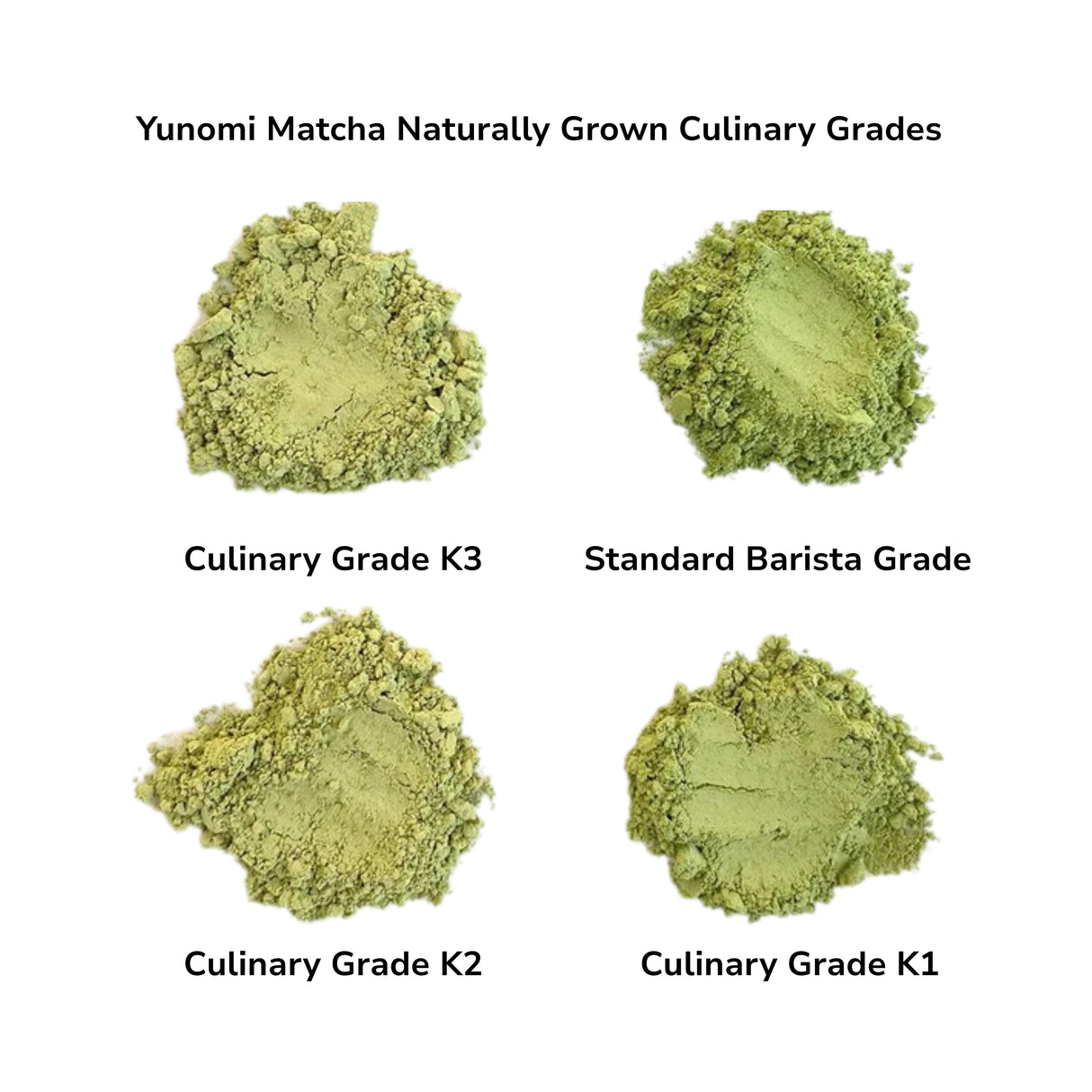Yunomi.Dojo Lesson - Tea Professional or Connoisseur Level - Personalized Deep Dive Into Japanese Tea