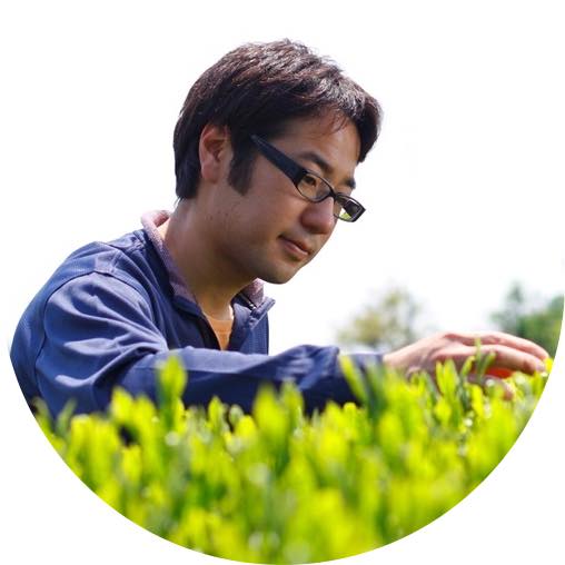 #0324.S2 Hiraoka Tea Garden: Shincha - Premium Grade Sencha "Sakura"　特上煎茶「桜」