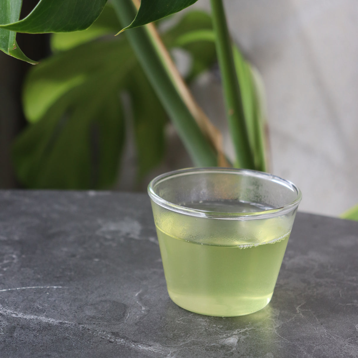#0596.K4 🍵 2026  Ikegawa Tea Farm Coop:  First Flush Kochi Sencha, Kiri no Kaori 池川一番茶煎茶［霧の薫］