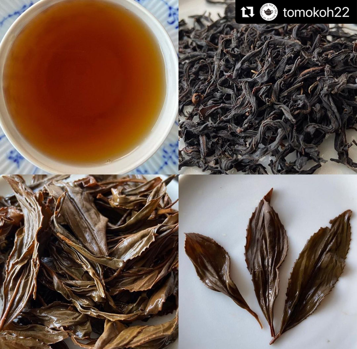 (2026 out of production) #0268.F2 Chiyonoen Tea Garden: #21A Mountain-Grown Yame Black Tea, Single Cultivar Kanaya Midori Spring【矢部紅茶】かなやみどり 春摘み (Naturally Grown)