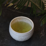 #0472.S2 Miyano Tea Factory: 2026 Imperial Sayama Fukamushi Sencha Komachi 狭山小町