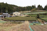 2026   #1054.G1 Nitta Tea Farm: Premium Sencha