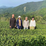 #0043.S5 NaturaliTea: 煎茶緑茶、やぶきたみどりファーストフラッシュ有機一番摘み煎茶やぶきたみどり