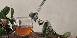 #0602.E1 Ishizuchi Kurocha - Fermented Dark Tea from Ehime Prefecture