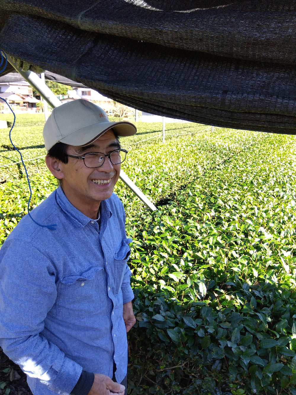 #0327.S2 Honyama Matcha from the Hills of Shizuoka Matcha - Standard Barista Grade