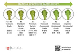 #1008.TX Matcha Quality Spectrum Sampler Set - A flight of 6 grades of matcha x 10g each
