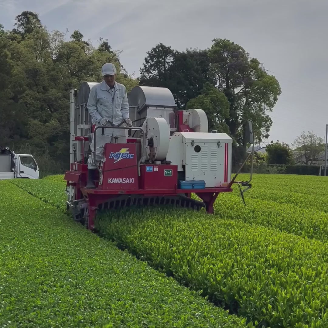 #0640.S5 周智茶園：深蒸し茶、きらり31単一品種、日本茶アワードプラチナメダル受賞、長田茶精製 きらり31深蒸し茶