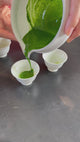 Shogyokuen Zuisho - Imperial Ceremonial Grade Heritage Matcha from Uji, Kyoto