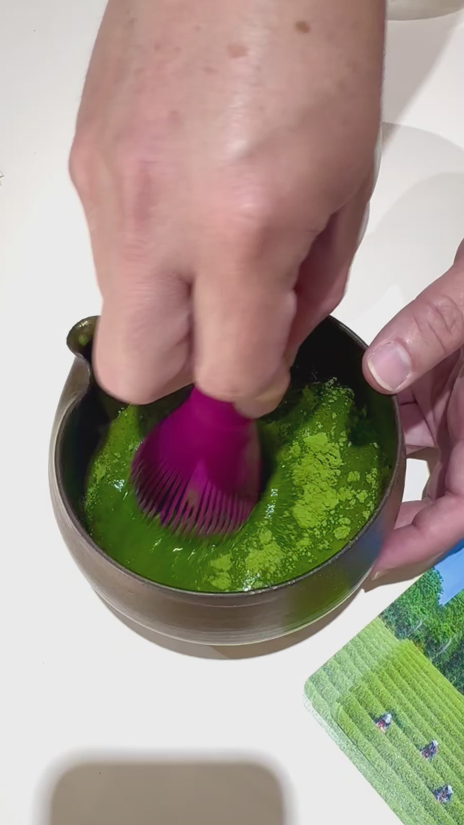 Resin Matcha Tea Whisk with holder (black/green/brown/beige/pink)