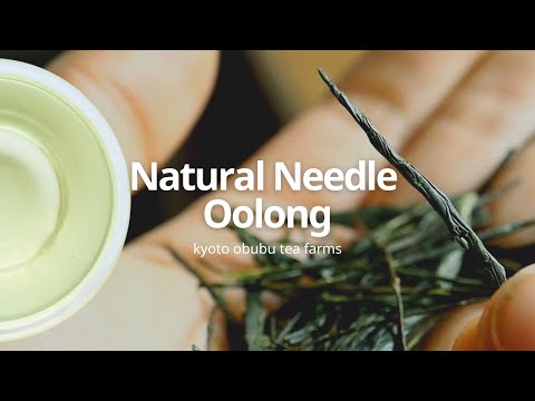 #0030.K6 Obubu KY030: Needle Oolong ナチュラル・ニードル烏龍茶