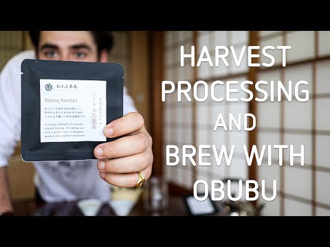 #0030.K6 Obubu KY030: Needle Oolong ナチュラル・ニードル烏龍茶