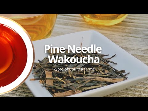 #0035.K6 おぶぶ：松葉和紅茶 京都紅茶