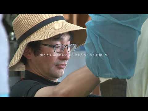 #0481.M3 Miyazaki Sabou MY01: 2026 Organic Kamairicha Green Tea - Saemidori Single Cultivar