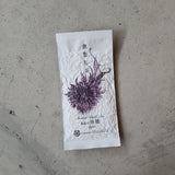 #0364.S5 Kaneroku Matsumoto Tea Garden: Apple Wood Smoked Black Tea 燻製紅茶 リンゴ