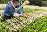 #0287.K2 Furuichi Seicha: 2026 Warakake - Straw Shaded Fukamushicha by Farmer Kuwazuru Sumiyoshi わらかけ