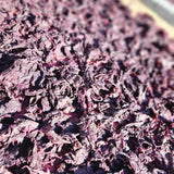 Iijima Seitarou Shoten KN004: Yukari - Sundried, salt-pickled shiso leaves ゆかり