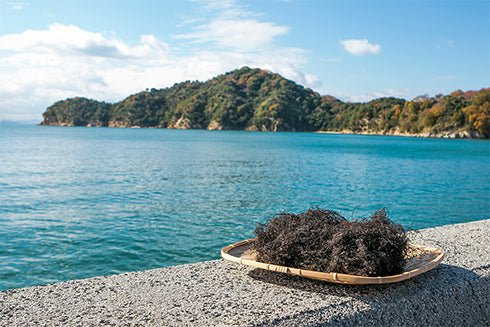 Amabito no Moshio Gourmet Seaweed Salt by Kamagari Bussan - yumenet.live