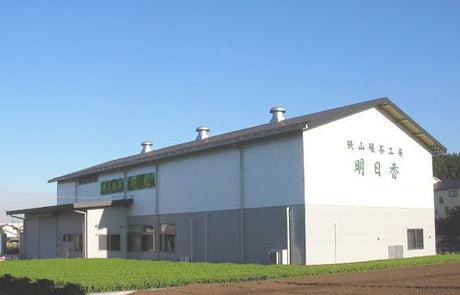 Asuka Tea Factory: Sayama Matcha, Myoushou Green 狭山抹茶明松 みどり - yumenet.live