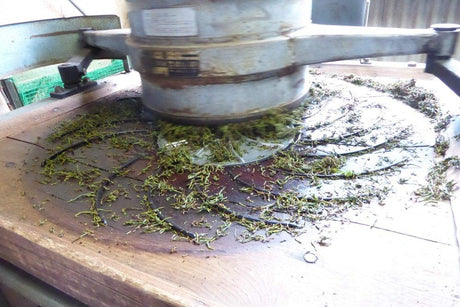 Ayumi Farms (Cyittorattu): Handpicked Wakocha (Japanese black tea, 40g bag) - yumenet.live