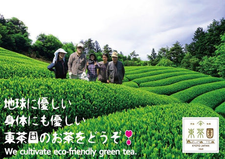 Azuma Tea Garden: "Samidori no Ka" Matcha Cultivar Series Samidori, Standard Ceremonial Grade 早緑の馨 - yumenet.live
