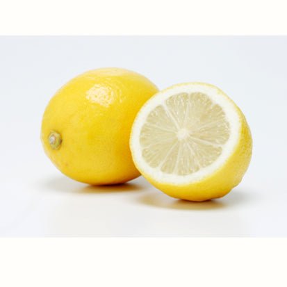 Chasandai: Cold-Brew Lemon Green Tea (5g x 5 tea bags) - yumenet.live