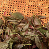 Chiyonoen Tea Garden: #27 Mountain-Grown Yame Sakura Leaf Black Tea 【矢部紅茶】春の香紅茶　桜のナチュラルフレーバー - yumenet.live