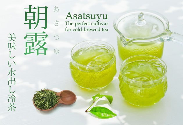 Dobashien Tea #08: Kakegawa Series: Single Cultivar Sencha, Asatsuyu 煎茶 朝露 - yumenet.live