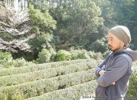 Dokodemosora #02: Naturally Grown Wakayama Superior Hojicha Roasted Green Tea - yumenet.live