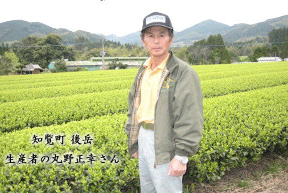 Furuichi Seicha: #05 Oku-Chiran Sencha, Iki (100g) 奥知覧茶-粋 - yumenet.live