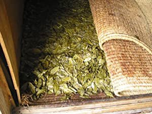 Goishicha from the Otoyo Town Goishicha Producer's Association 大豊町碁石茶協同組合 『本場の本物』碁石茶 - yumenet.live