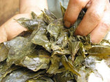 Goishicha from the Otoyo Town Goishicha Producer's Association 大豊町碁石茶協同組合 『本場の本物』碁石茶 - yumenet.live