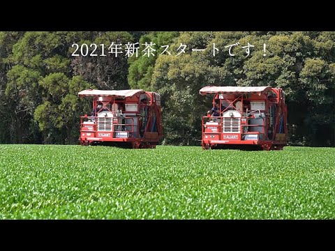 #0709.K2 和香園茶園: 2025 かごしま深蒸し茶 匠 (特級) 和香園 深蒸し茶匠