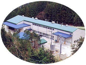 Ikegawa Tea Farm Coop: Spring First Flush Hojicha (Dark Roasted Sencha), Tosa Aburicha 池川一番茶[土佐炙茶] - yumenet.live