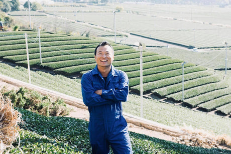 Kaneroku Matsumoto Tea Garden: 2022 Shincha - Limited Edition - Ohashiri 大走り新茶 - yumenet.live