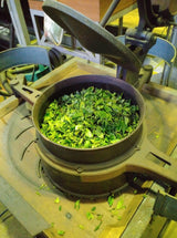 Kanes Tea: 2022 First Flush Black Tea Wakocha, Makinohara-wase Single Cultivar - yumenet.live