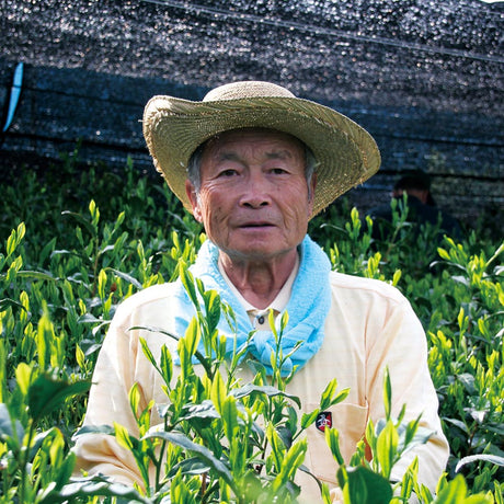 Kaneta Ota Tea Garden: Micro batch 2022 Sencha, Single Cultivar Saemidori - yumenet.live
