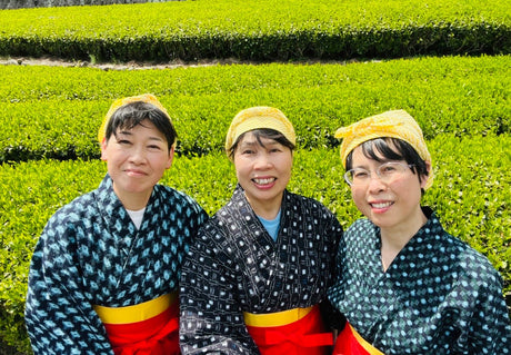 Kiyosawa Tea Gardens: Shizuoka Spring Asamushi Sencha by Farmer Sugiyama Yachiyo - yumenet.live
