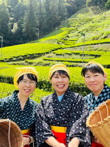 Kiyosawa Tea Gardens: Shizuoka Spring Asamushi Sencha by Konagai Chizuko - yumenet.live
