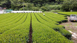 Kiyosawa Tea Gardens: Shizuoka Spring Kukihojicha Roasted Green Tea Leaf Stems by Farmer Kajiyama Yukako - yumenet.live