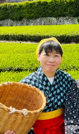 Kiyosawa Tea Gardens: Shizuoka Spring Kukihojicha Roasted Green Tea Leaf Stems by Farmer Kajiyama Yukako - yumenet.live