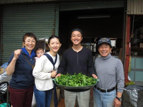 KU007 Tomizawa Tea Garden: Gyokuro Tamaryokucha from Mashiki, Kumamoto - "Green Tea.Lab" 玉露 - yumenet.live